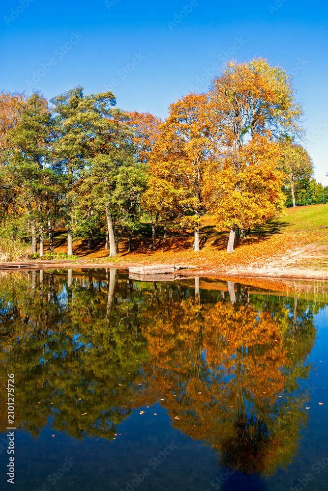 Fototapeta premium Autumn trees reflected on calm lake with wooden jetty