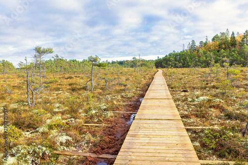 Bild auf Leinwand Long wooden hiking trail on a bog in a remote landscape