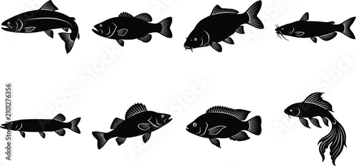 Fotografie Fish Silhouette Vector Collection Featuring Trout Bass Carp Catfish Pike Perch T