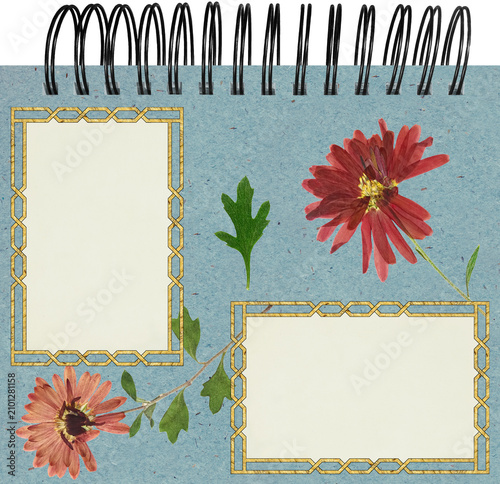 Page for stories. Photo album layout with empty photo frames. Scrapbook composition with floral elements. Page from an photo album. Dried pressed chrysanthemum flowers. For invitations und greetings.