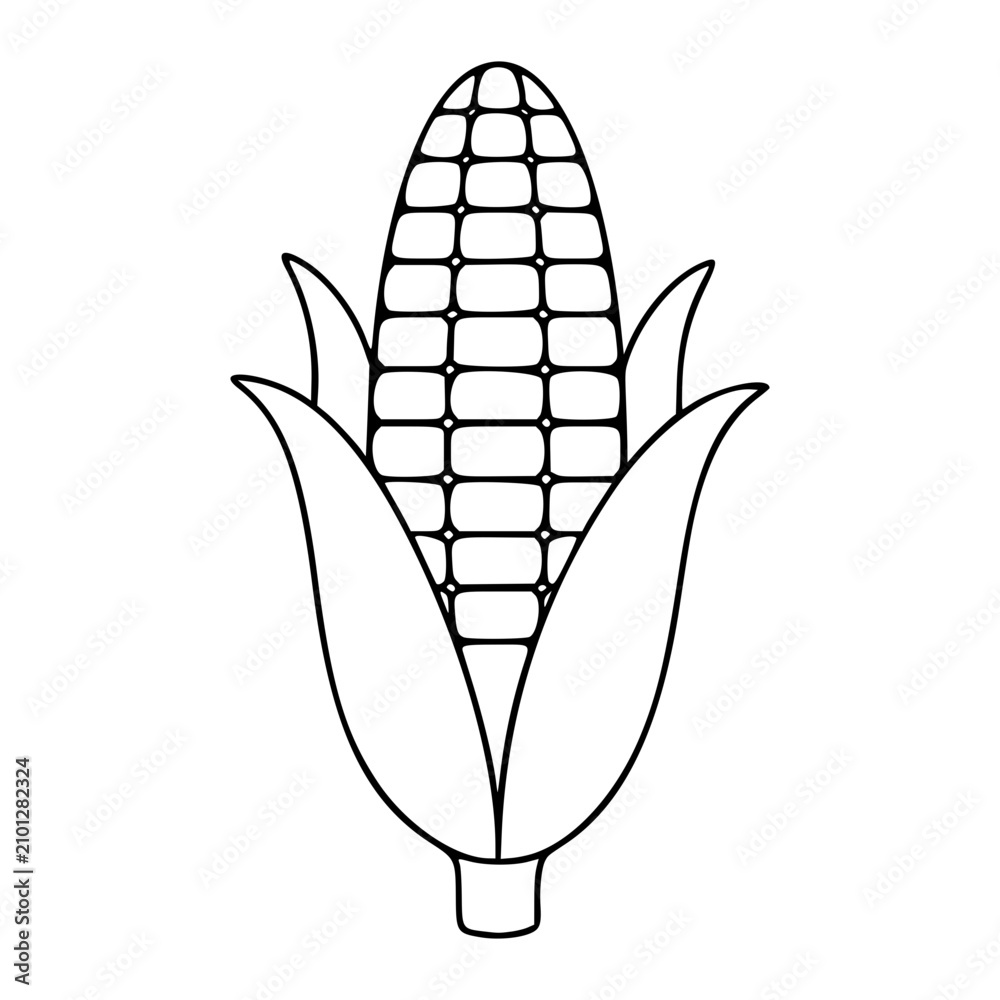 Obraz premium Geometric vector icon of ripe corn cob with protective husk leaves, minimalist line art illustration isolated on white background, scalable flat design element for food industry branding