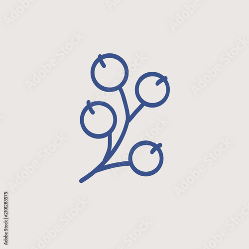 Fotografía Vector illustration of an autumn viburnum berry icon for eco-friendly products