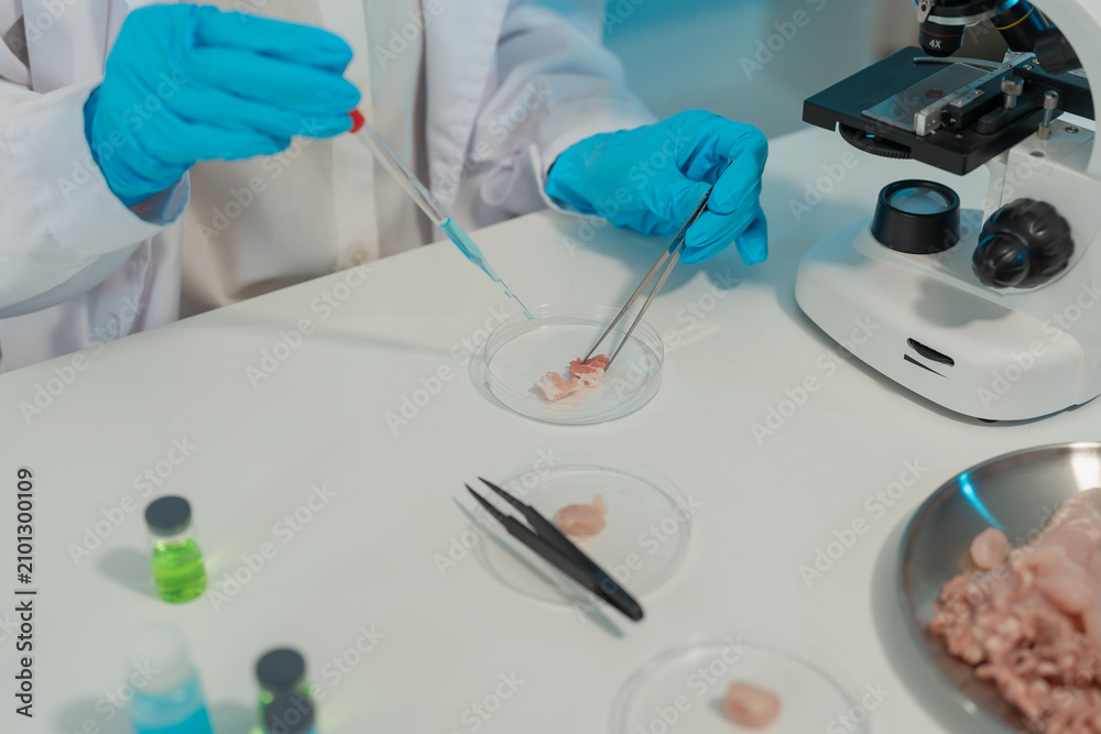 Fototapeta premium Close up of scientist using microscope to analyze meat sample.