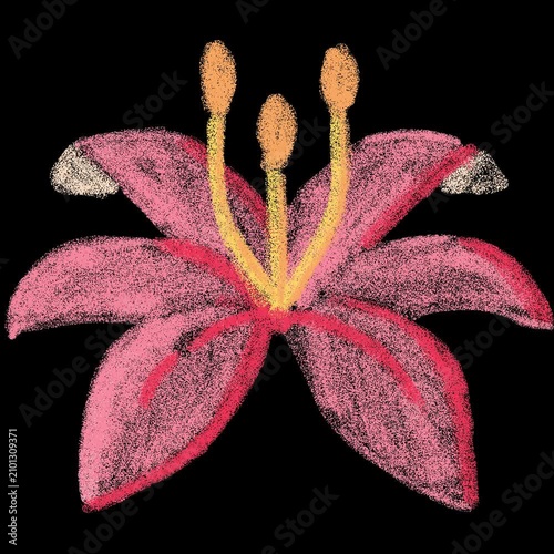 Hand-drawn watercolor flower doodle animation, pink peony blooming with green leaves on transparent background, looping sticker overlay