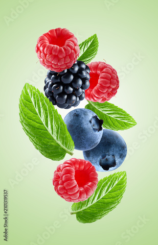 Mix berries with mint leaves on mint background