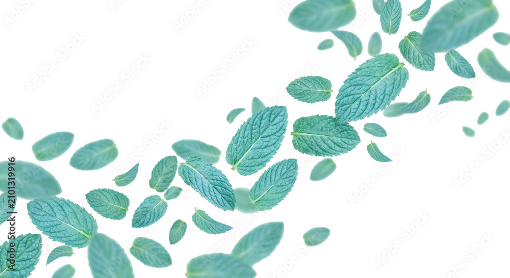 Obraz premium Fresh mint leaves swirling in a dynamic, refreshing cascade against a clean white background