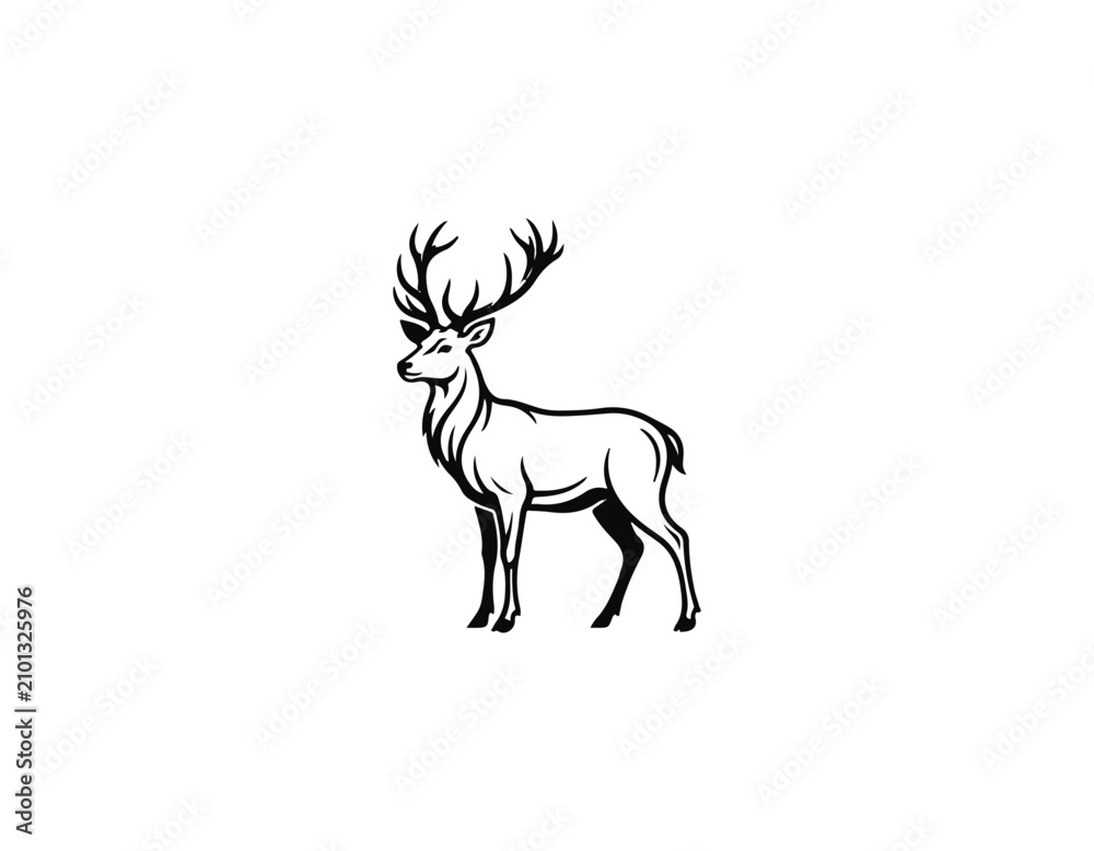 Fototapeta premium deer