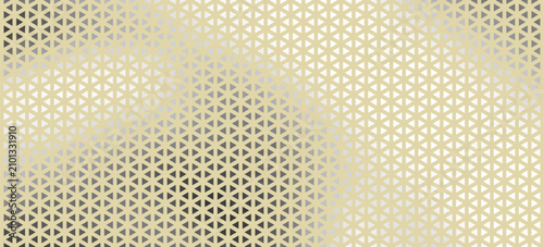 Bild auf Leinwand Stars Modern Halftone Geometry Pattern Vector Smooth Camber Border Blue Abstract Background