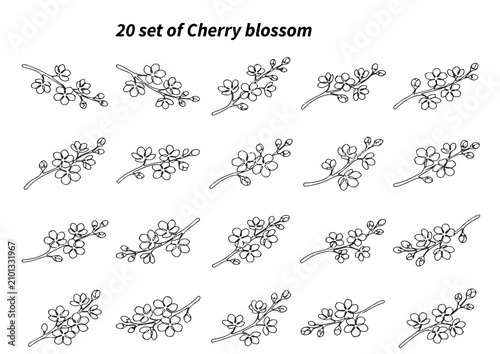 Cherry blossom branch set. Hand drawn sakura floral elements for spring design projects.