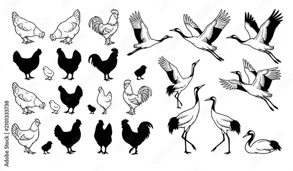 Obraz premium Farm Poultry and Wild Crane Bird Silhouette Set Featuring Chickens, Roosters, Chicks, and Storks for Agricultural Branding and Nature Graphic Designs