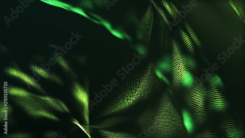 Canopy light rays filtering organic particle foliage video loop