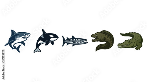 Photography Collection of predatory sea creatures and a crocodile