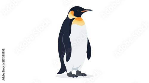 Emperor penguin bird standing illustration