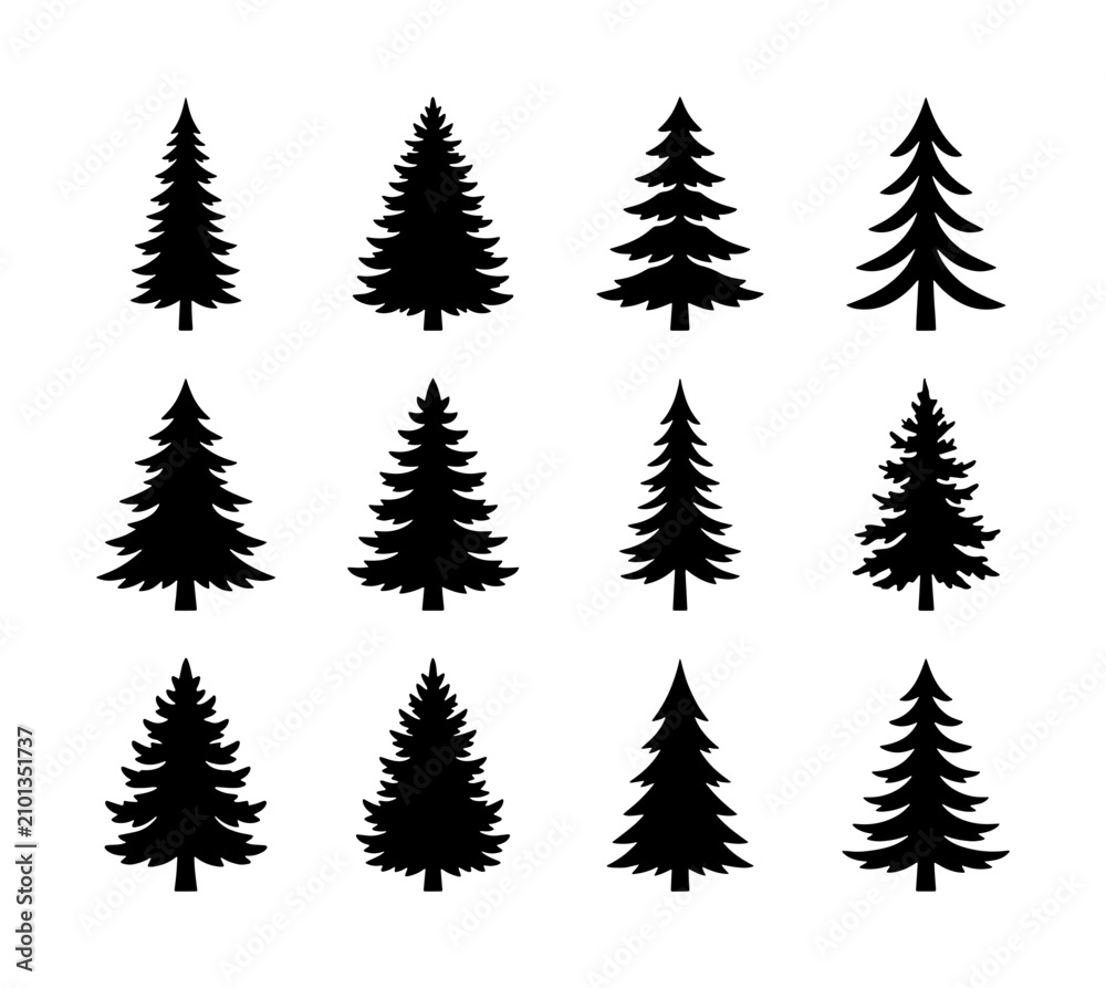 Obraz premium Set of 12 Black Silhouette Evergreen Trees, Pine Conifer Vector Icons for Winter, Forest, Nature Design Elements