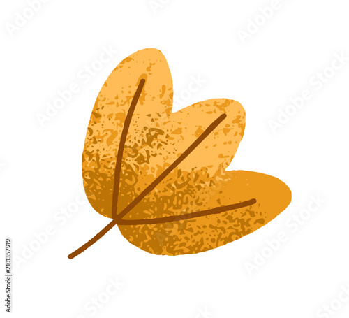 Tree leaf. Autumn dried textured seasonal decoration. Fallen golden foliage. ...