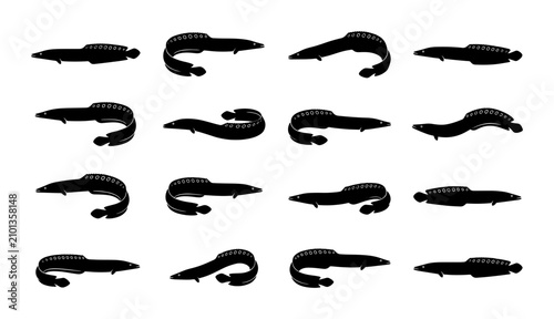 Canvastavla Black Silhouette Leeches, Medical Hirudinea Vector Icons Set, Parasite Bloodsuck