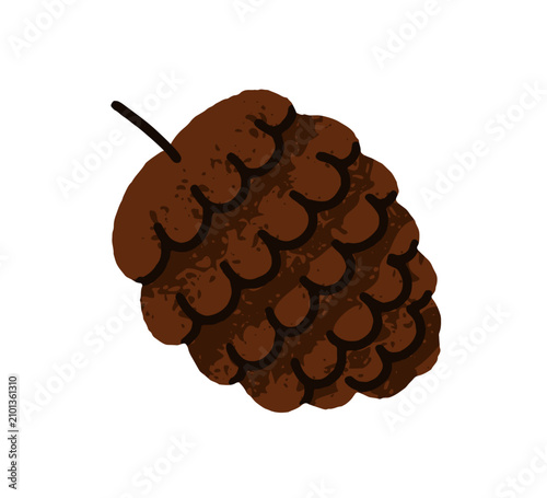 Pine cone. Autumn pinecone. Fall seasonal wood decoration. Brown conifer deco...