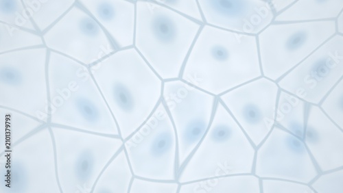 Konstfotografi Abstract cellular structure with nuclei