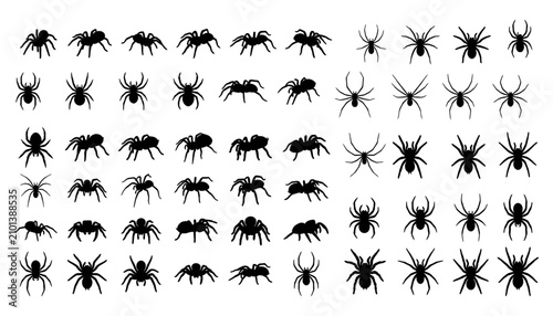 Halloween spider icons crawling in various poses. Vector line art arachnid set for festive designs and decorations.