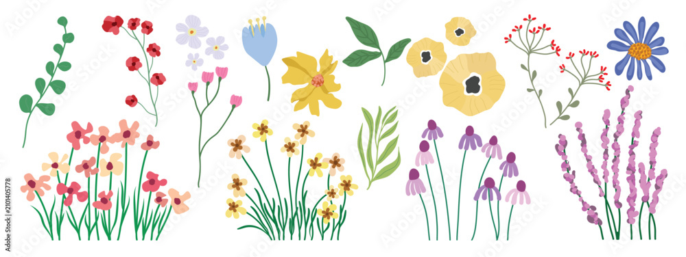 Fototapeta premium Cute wildflower floral element set vector. Hand drawn colorful meadow flowers, botanical spring and summer bloom collection. Minimal Scandinavian illustration for greeting cards, invitations, branding