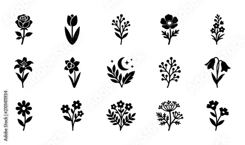 Foto Elegant Floral Icons Collection, Botanical Vector Graphics, Nature Elements Set,