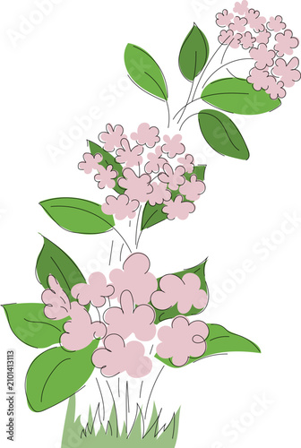 Vector illustration of pink flowers
