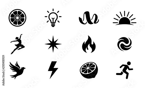 Set of 12 Black and White Vector Icons: Citrus, Dancer, Bird, Flame, Sun, Lightbulb, Starburst, Swirl, Lightning Bolt, Runner, Abstract Swirl, Citrus Slice