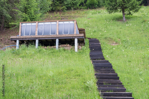 фотографія Rustic wooden walkway and stairs on a green hillside near a mountain lodge