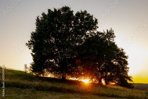 Fotografie Summer landscape, The terrain hill countryside in Zuid-Limburg, Silhouette of te