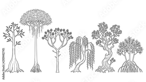 Set of black and white hand drawn tree silhouettes, detailed arboreal collection for landscape architecture, site planning, urban forestry