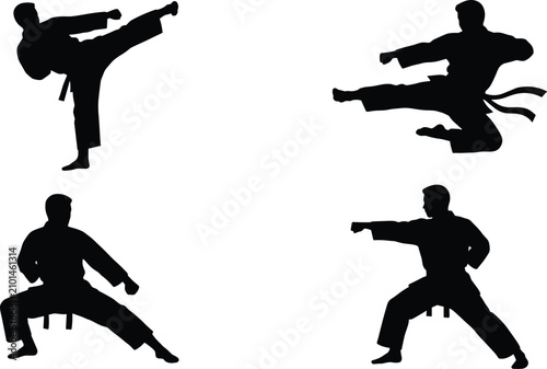 Fényképezés Martial Arts Silhouette Vector Set Featuring Karate and Taekwondo Fighters In Ac