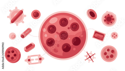 Foto Illustration showing various types of red blood cells and microscopic biological structures