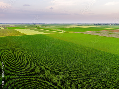 Aerial view vast green agricultural fields growing crops
