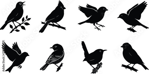 Fotografi Collection of diverse songbird silhouettes in various poses for nature and wildl