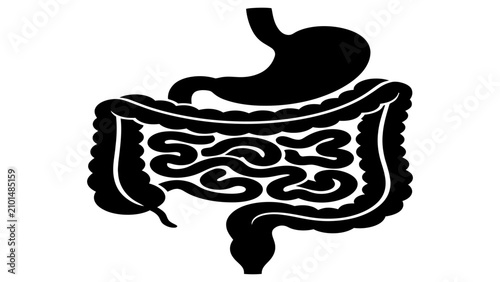 Foto Digestive system icon displays the human stomach and intestinal tract as a detailed anatomical representation