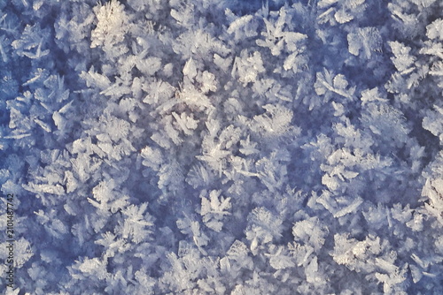Dense Blue White Frost Crystals Full Frame, Frosted Winter Natural Texture Abstract Background Macro