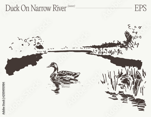 Duck Swimming On Narrow River With Reeds And Distant Bank, Hand Drawn Sketch Illustration