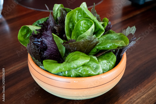 A bowl of fresh leaves salad.