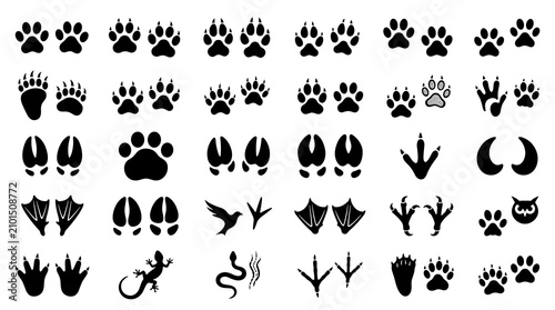 Fotografie Animal footprint silhouette vector set with wildlife paw print icons isolated on