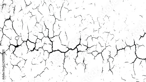 Bild auf Leinwand Cracked surface with many small and large cracks and fissures in white and black