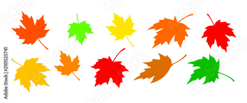 Photos Collection of realistic maple leaves with different colors