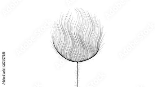 Abstract minimalist line art showcasing a delicate botanical form with fine sweeping curves resembling a fluffy dandelion seed head