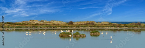 Cuadro en lienzo Flamants roses dans une lagune