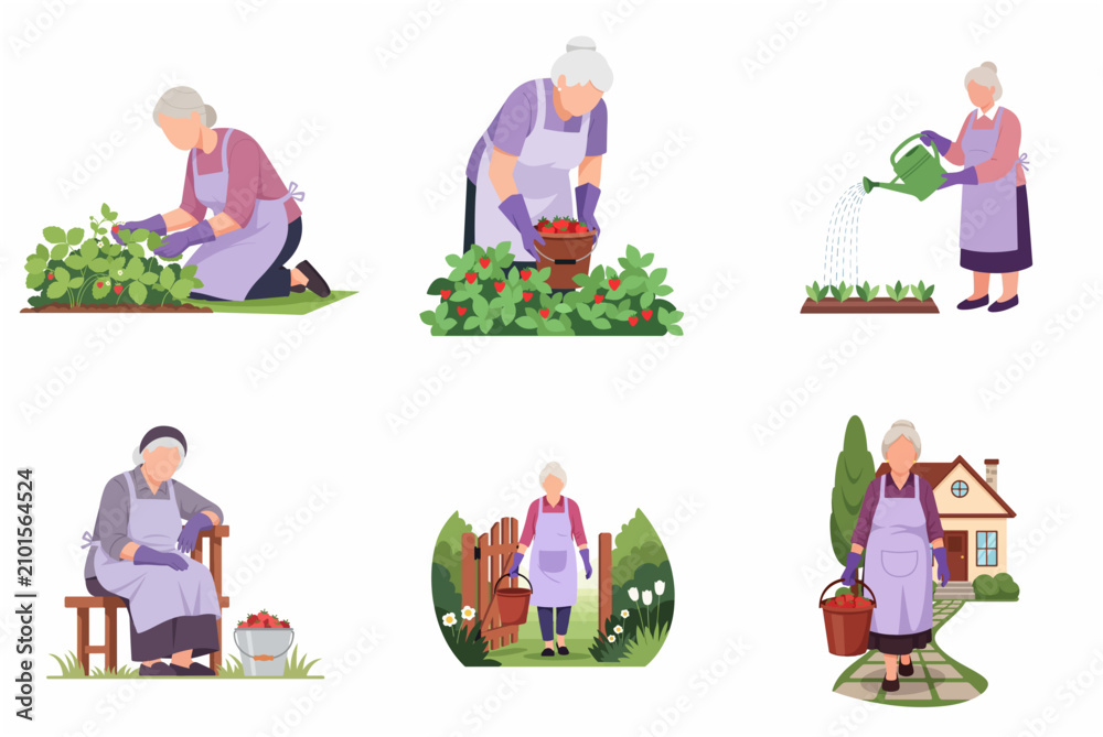 Fototapeta premium Elderly woman gardening and harvesting strawberries flat vector illustration set