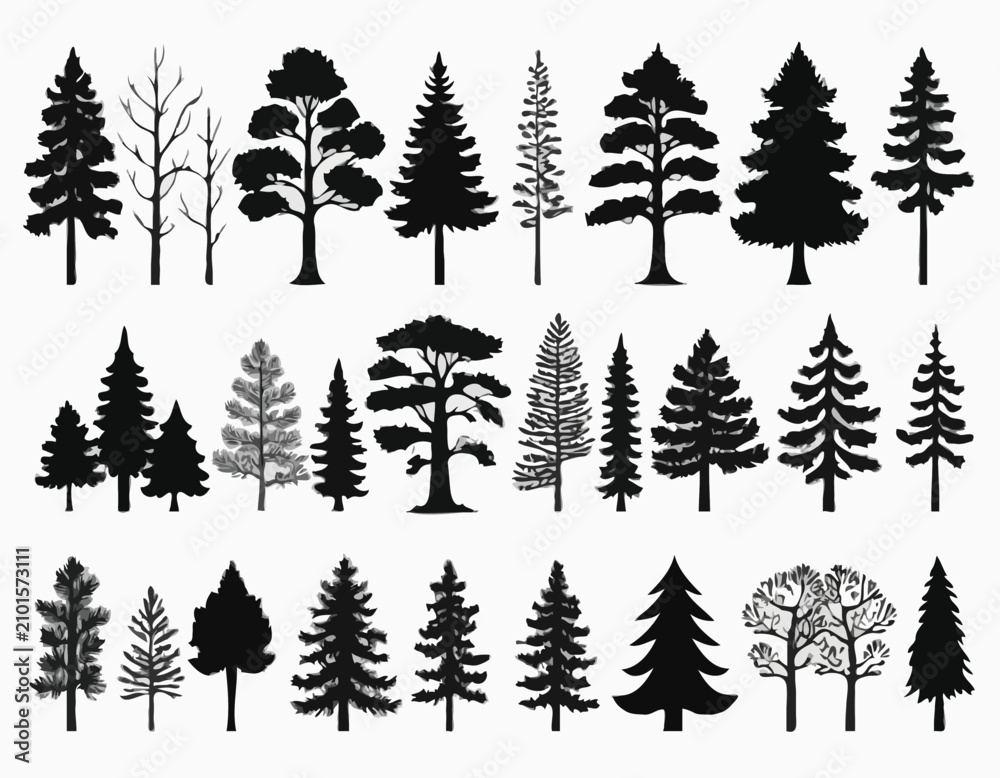 Obraz premium Pine and oak tree silhouette. Set of icons with black figures of spruce, pine, wild forest trees and woodland. Design Element for Logo. Flat vector illustration collection isolated on white .