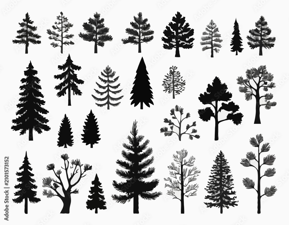 Obraz premium Pine and oak tree silhouette. Set of icons with black figures of spruce, pine, wild forest trees and woodland. Design Element for Logo. Flat vector illustration collection isolated on white .
