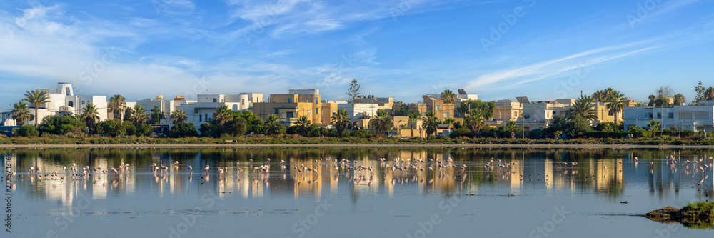 Fototapeta premium Flamants roses dans une lagune aux portes de la ville de Korba en Tunisie