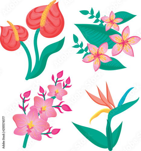 Beautiful colorful spring garden flower bouquets collection vector