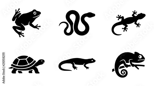 Canvastavla Reptile and Amphibian Icons: Frog, Snake, Lizard, Turtle, Chameleon Silhouettes