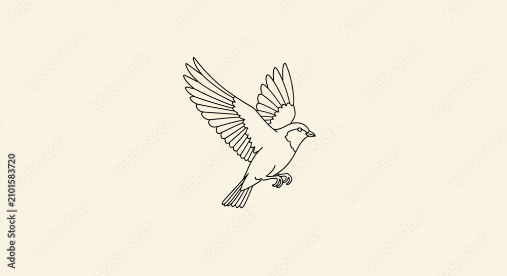 Fototapeta premium Minimalist Line Art Illustration of a Flying Bird